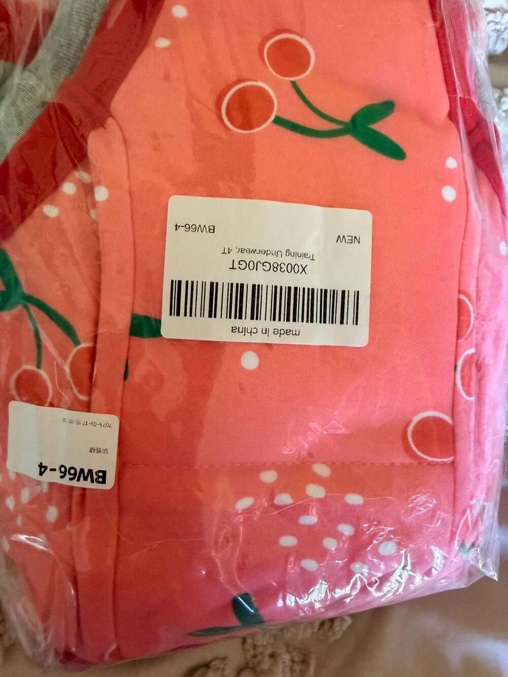 10 pack Big Elephant Training Underwear, 4T